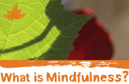 Join a Mindful Community The Now Project