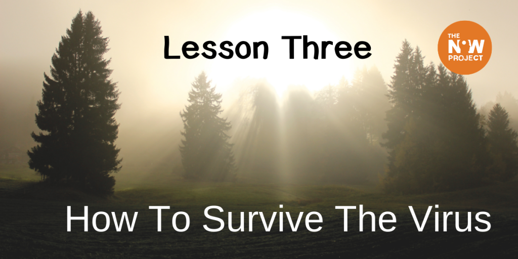 Lesson Three - How To Survive The Virus The Now Project
