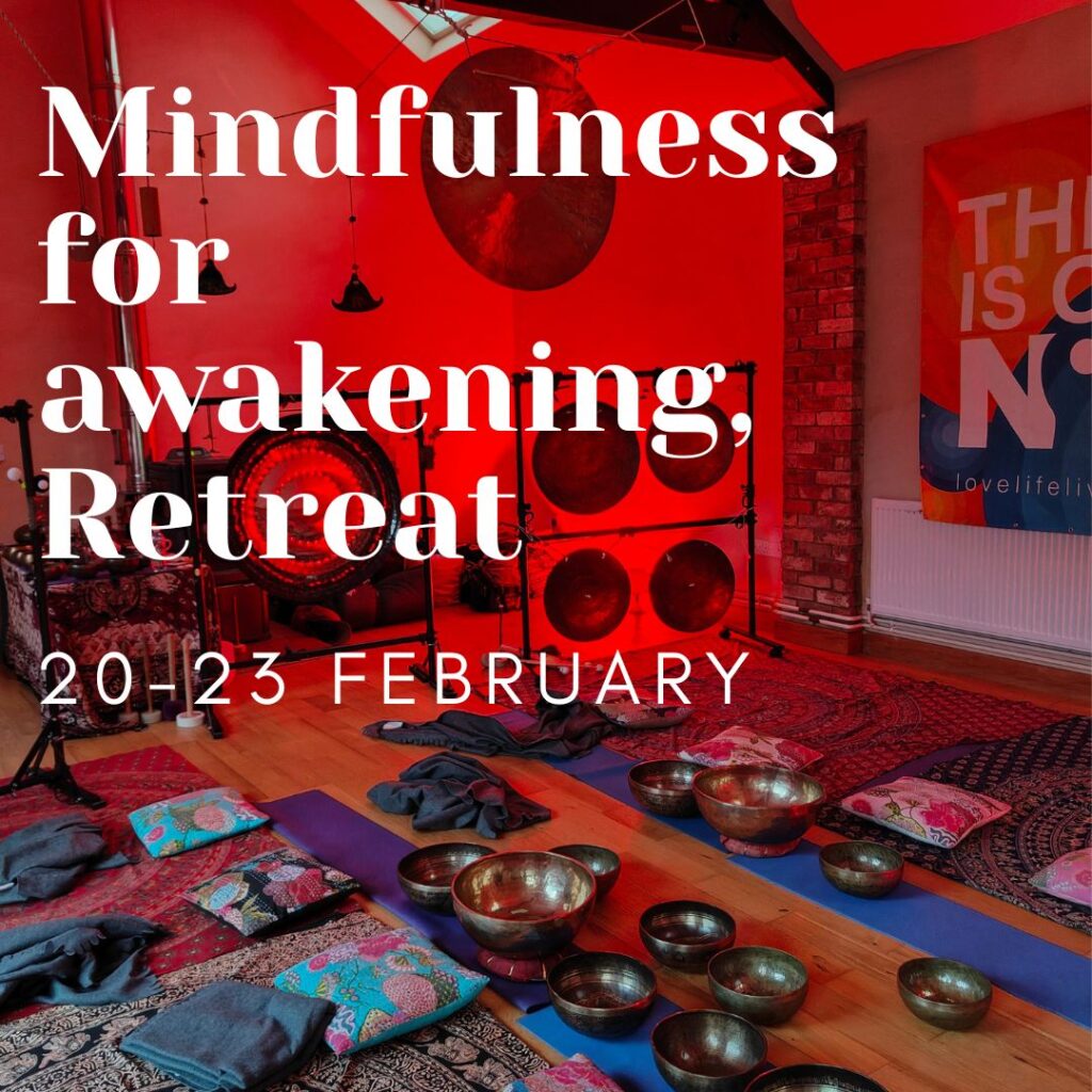 Fullness of mind - mindfulness for awakening retreat The Now Project