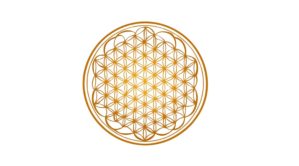 Testimonials The Now Project