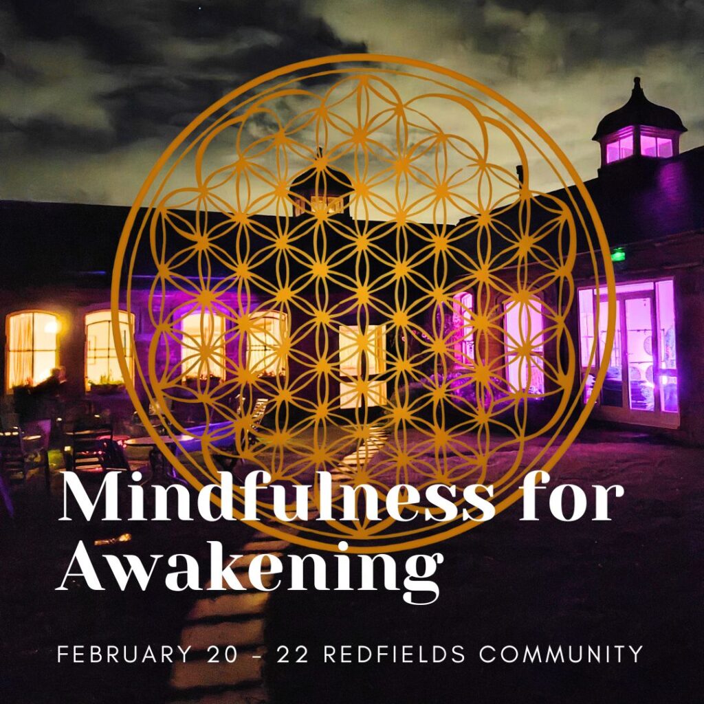 Fullness of mind - mindfulness for awakening retreat The Now Project