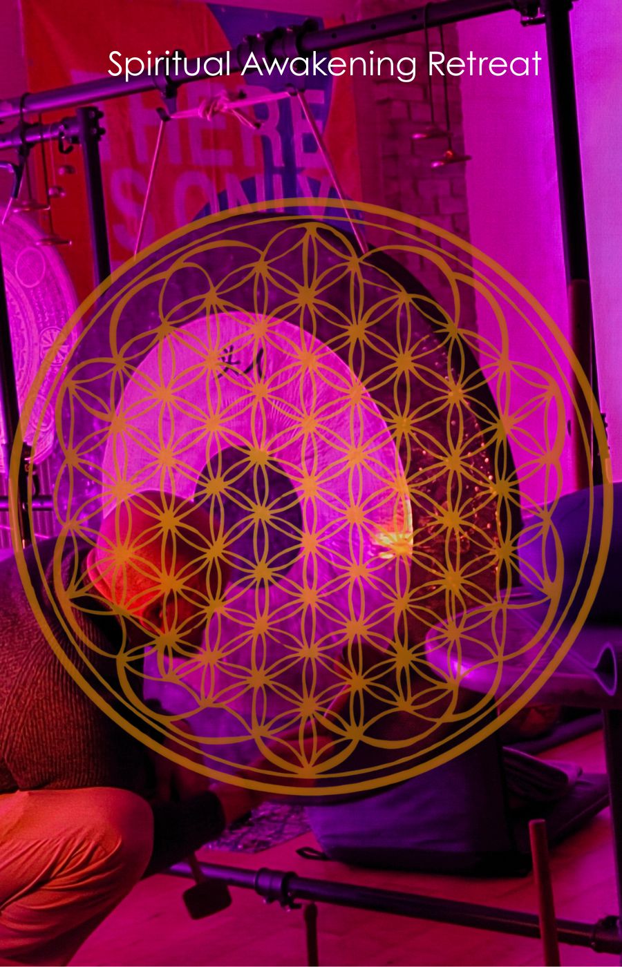 A Happier Healthier Version of you Awaits inside The Now Project