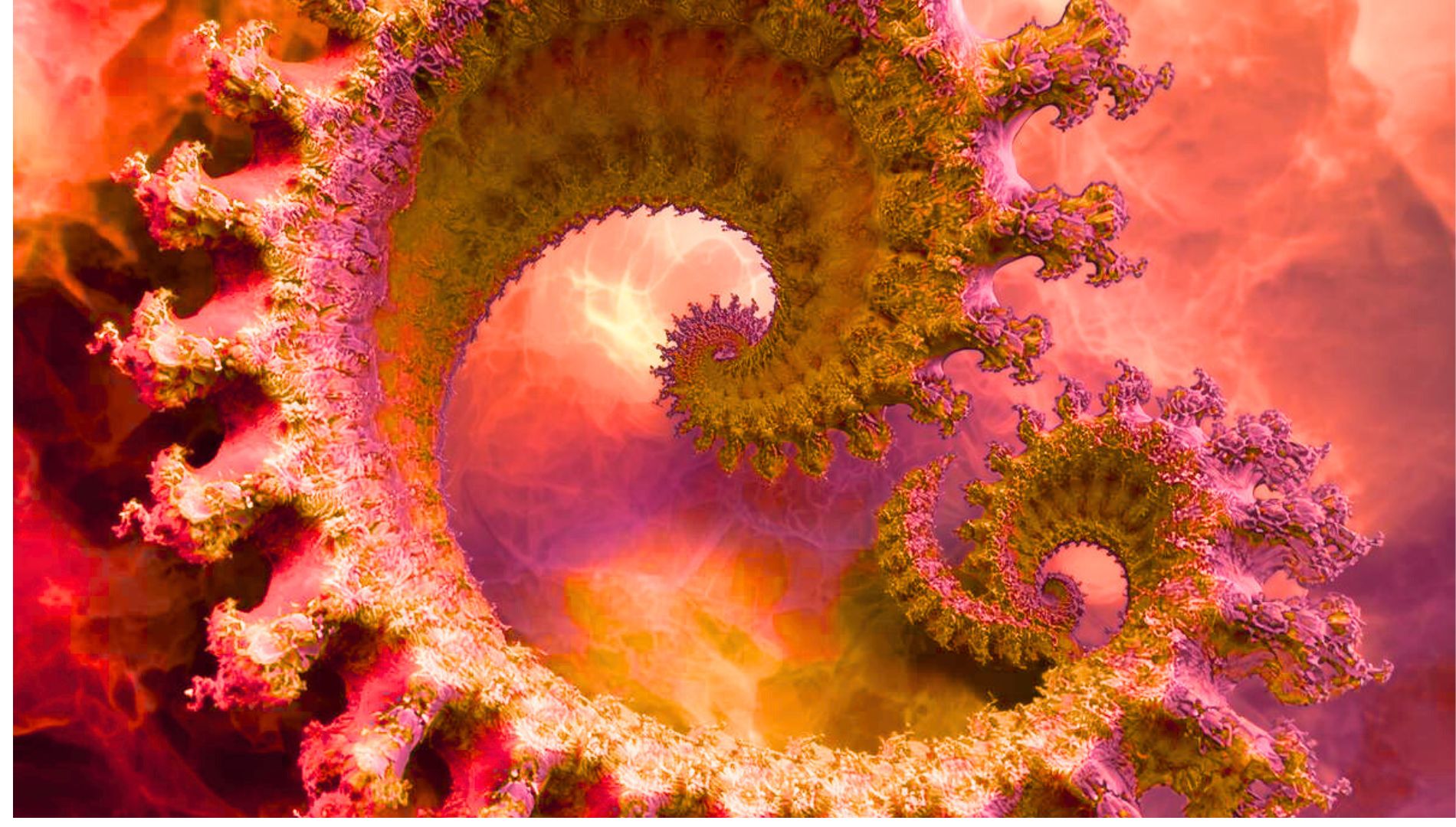 Blog The Now Project