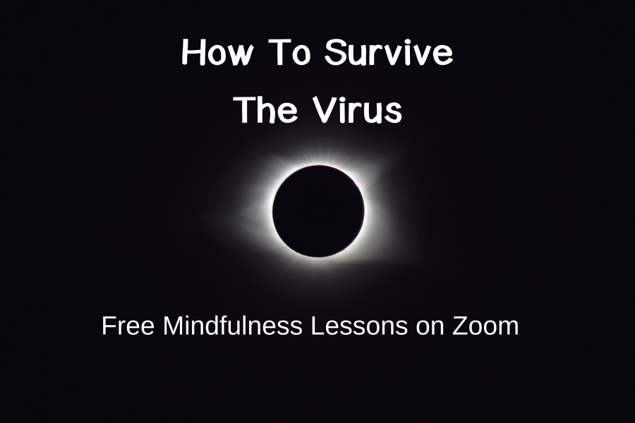 Copy of Copy of How To Survive The Virus
